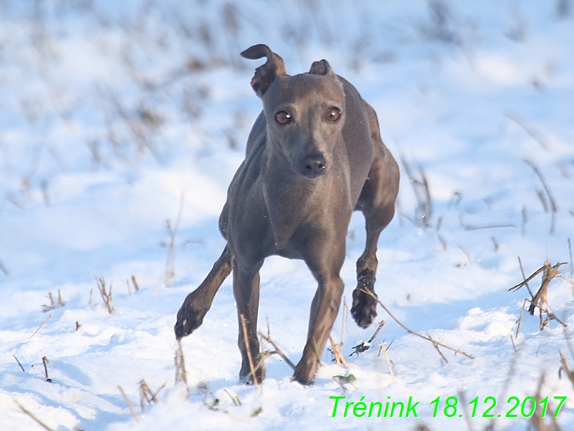 Náš soukromý trénink 18.12 (53)