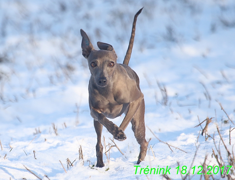 Náš soukromý trénink 18.12 (54)