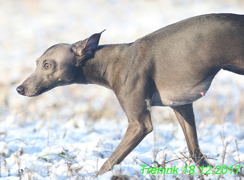 Náš soukromý trénink 18.12 (56)