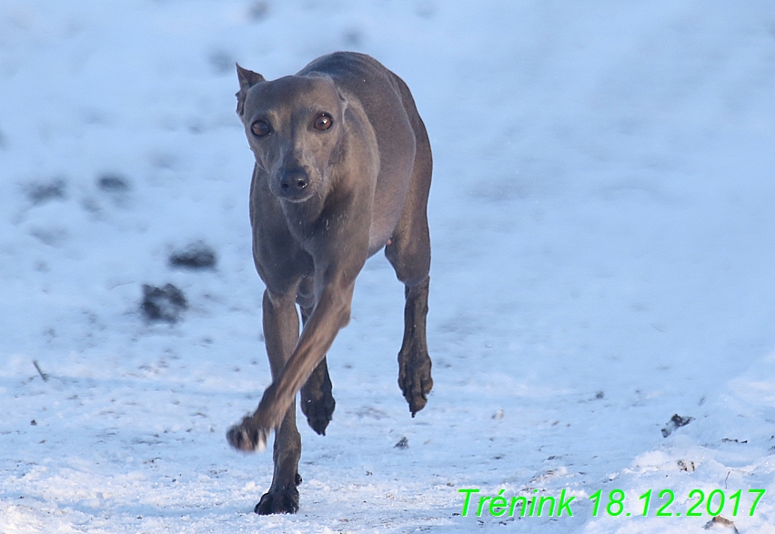 Náš soukromý trénink 18.12 (67)