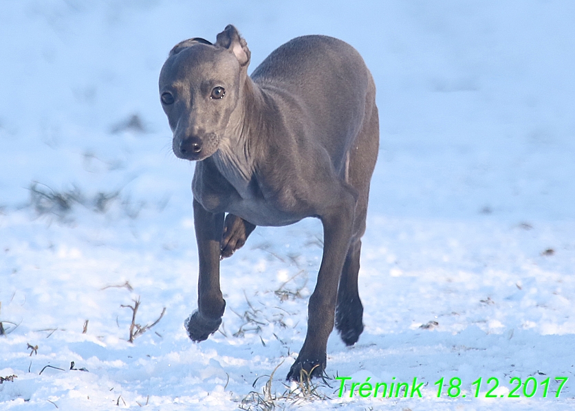 Náš soukromý trénink 18.12 (68)