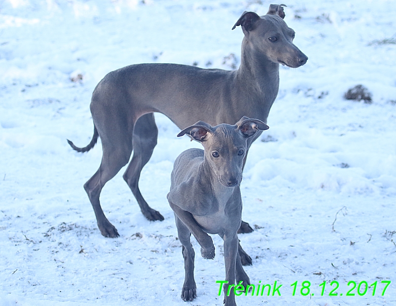 Náš soukromý trénink 18.12 (73)