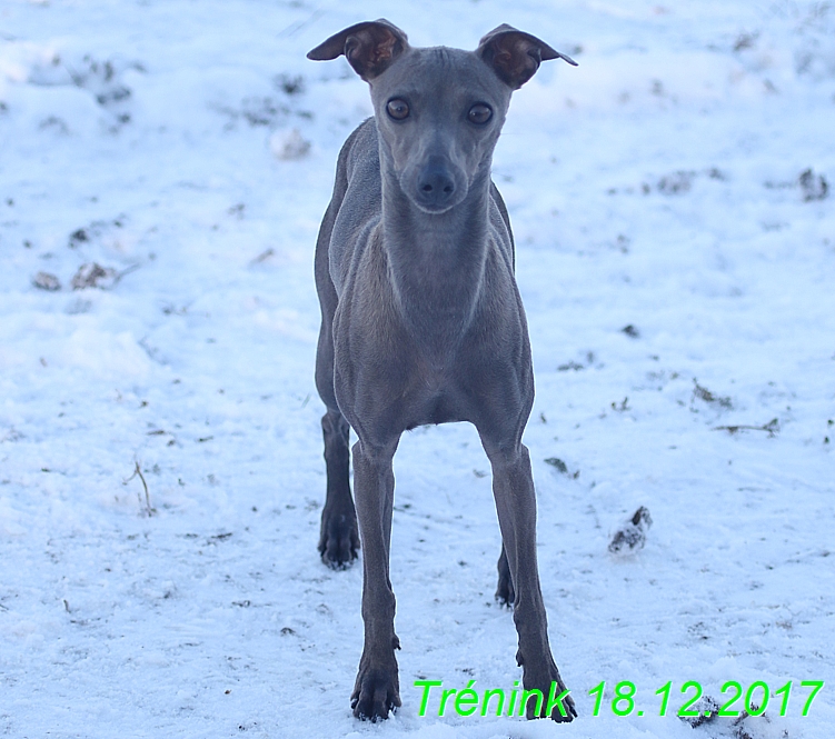 Náš soukromý trénink 18.12 (80)