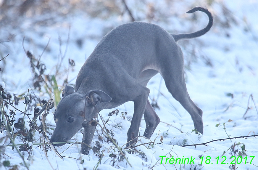 Náš soukromý trénink 18.12 (83)