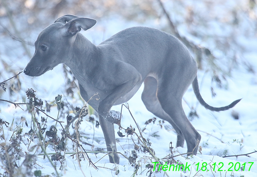 Náš soukromý trénink 18.12 (85)