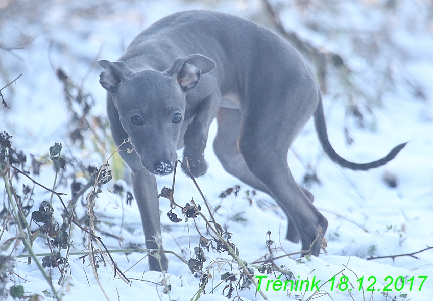 Náš soukromý trénink 18.12 (86)