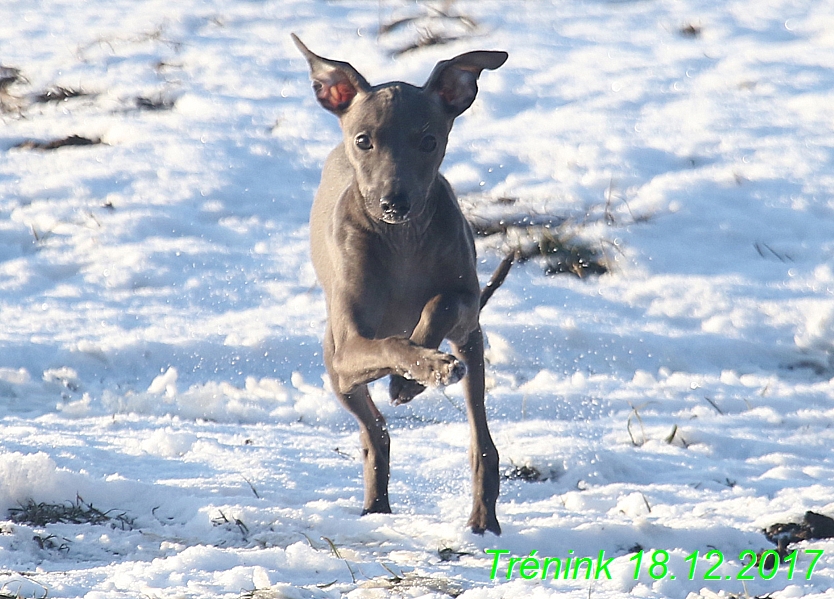 Náš soukromý trénink 18.12 (90)