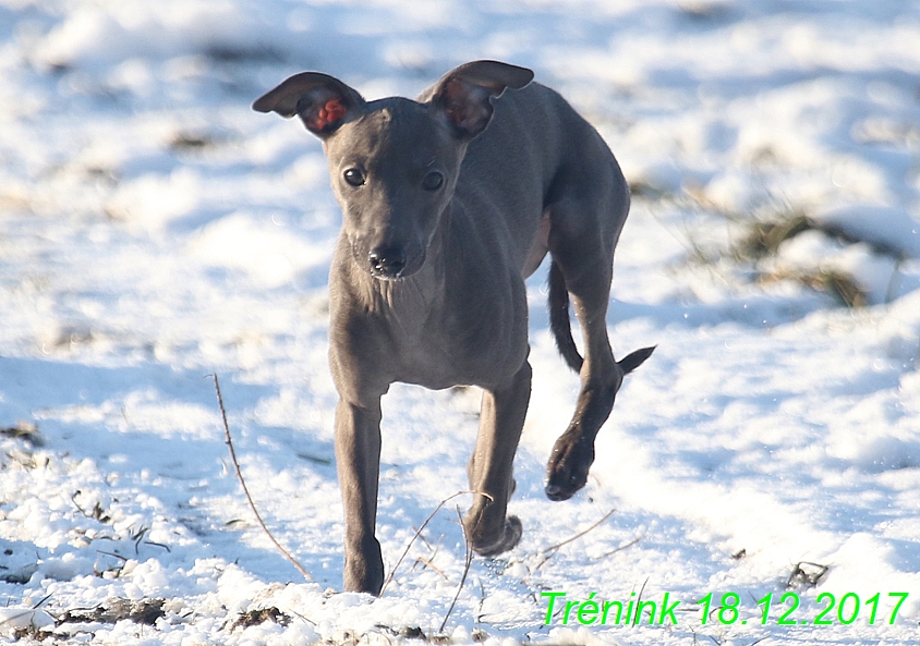 Náš soukromý trénink 18.12 (91)