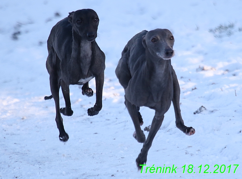 Náš soukromý trénink 18.12 (103)