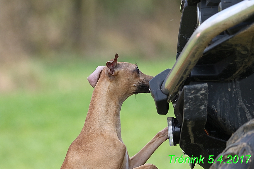 Trénink 5.4.2017 (11)