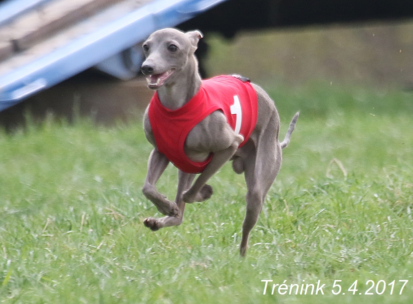 Trénink 5.4.2017 (15)