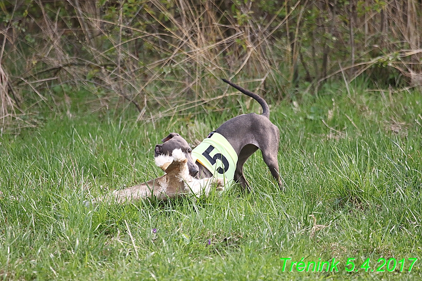 Trénink 5.4.2017 (36)