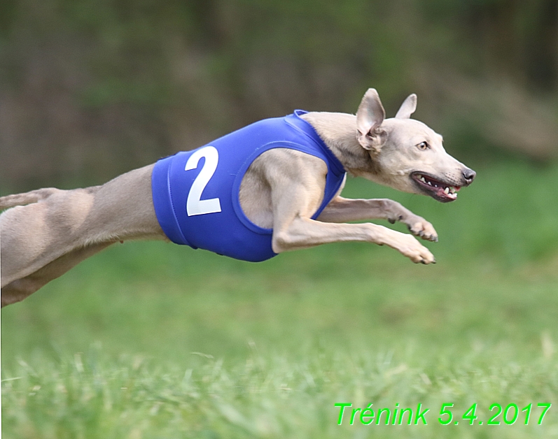 Trénink 5.4.2017 (103)