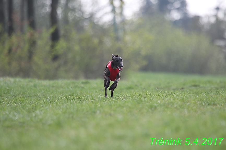 Trénink 5.4.2017 (108)