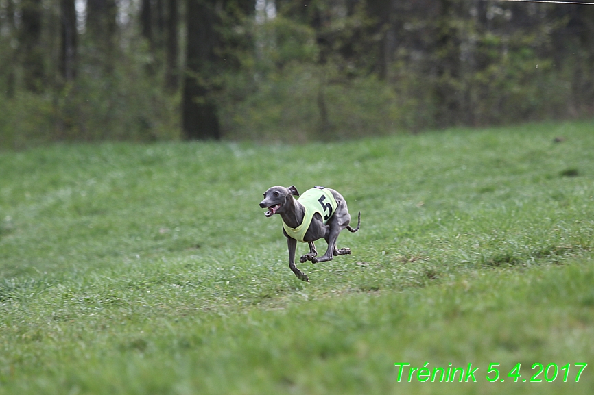 Trénink 5.4.2017 (112)