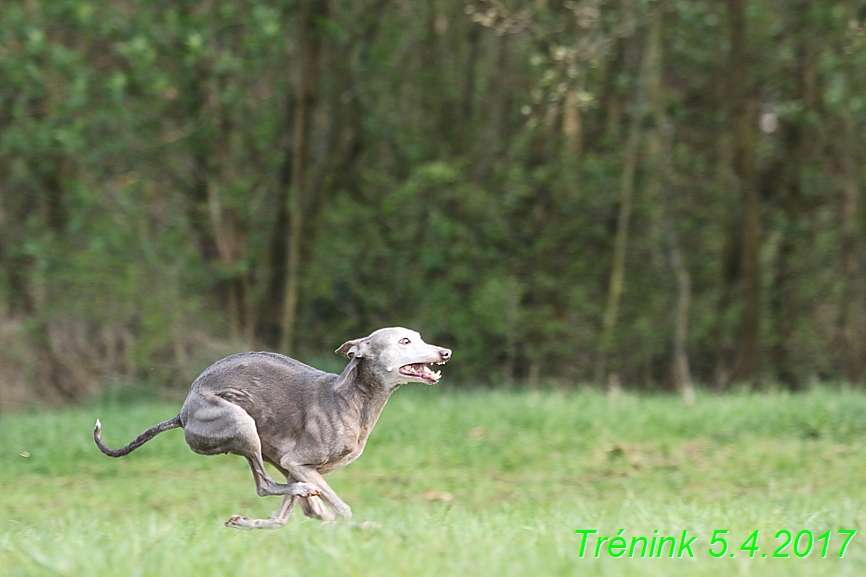 Trénink 5.4.2017 (139)