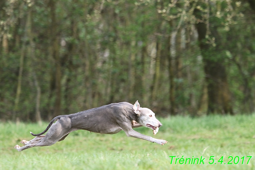 Trénink 5.4.2017 (140)