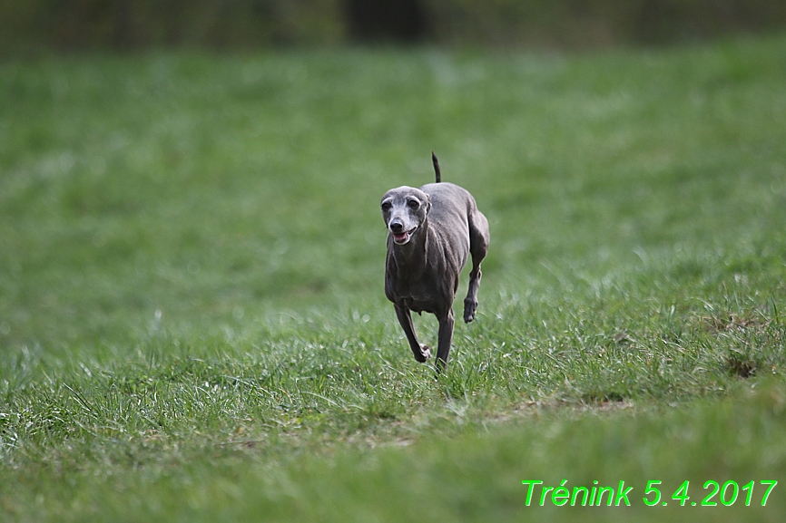 Trénink 5.4.2017 (148)