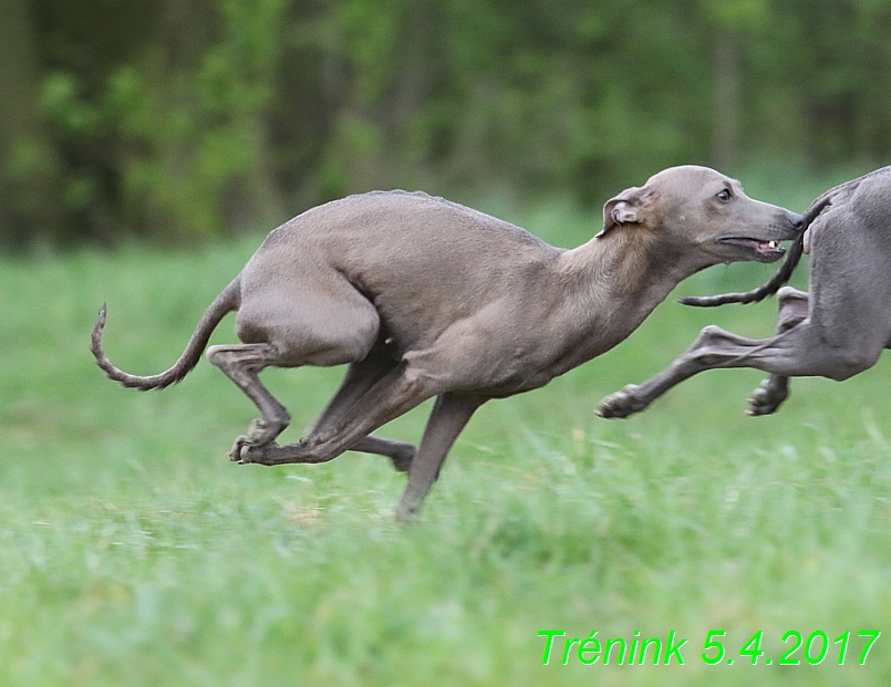 Trénink 5.4.2017 (179)