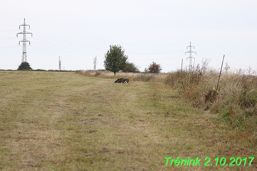 Soukroný trénink 2.10.2017 (7)