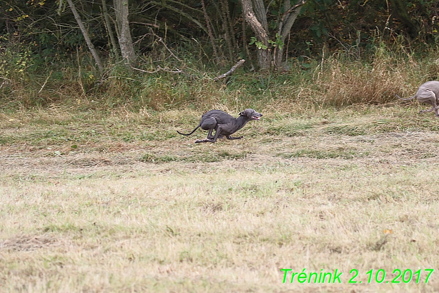 Soukroný trénink 2.10.2017 (10)