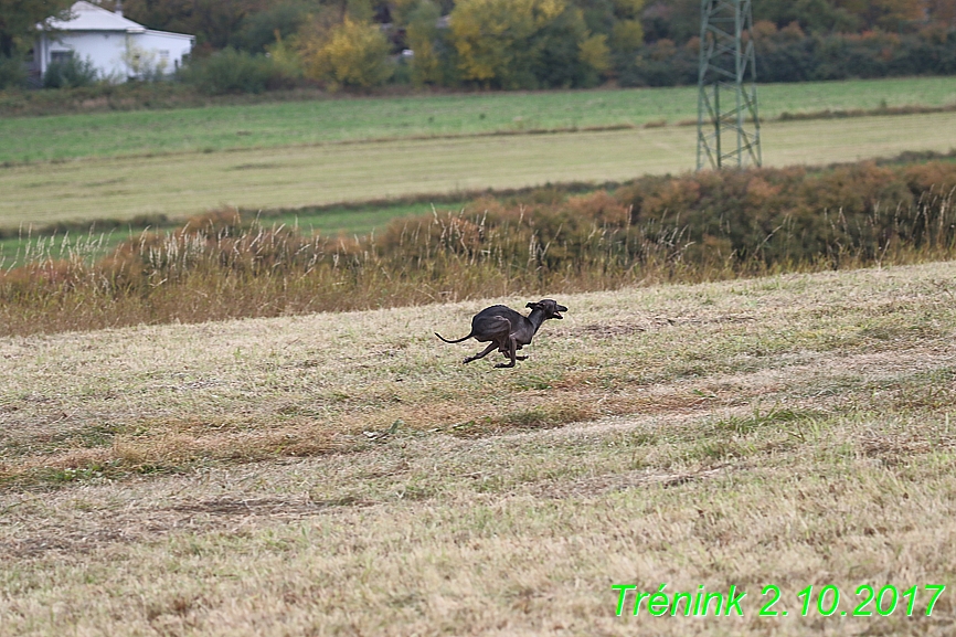 Soukroný trénink 2.10.2017 (12)