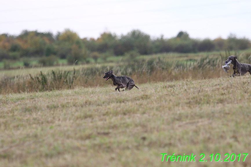 Soukroný trénink 2.10.2017 (14)