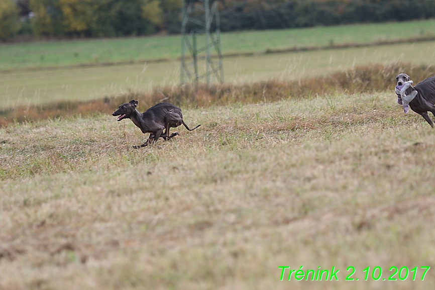 Soukroný trénink 2.10.2017 (17)