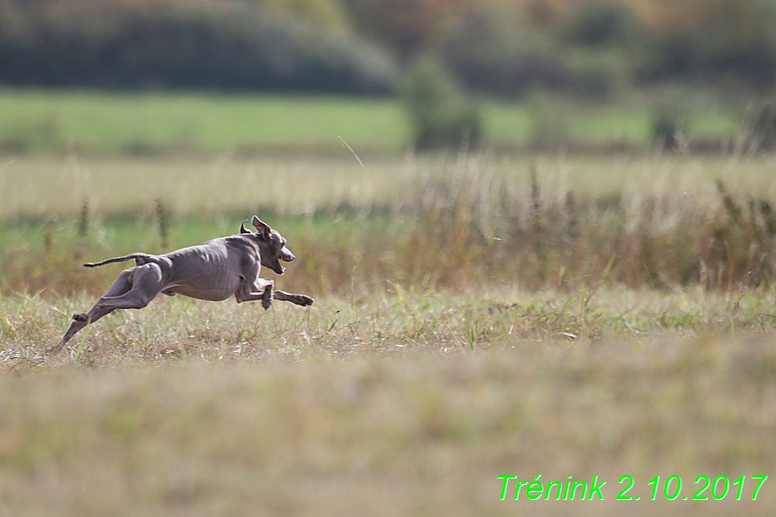 Soukroný trénink 2.10.2017 (30)