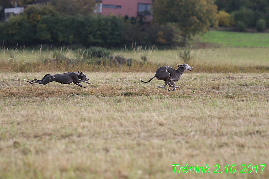 Soukroný trénink 2.10.2017 (39)