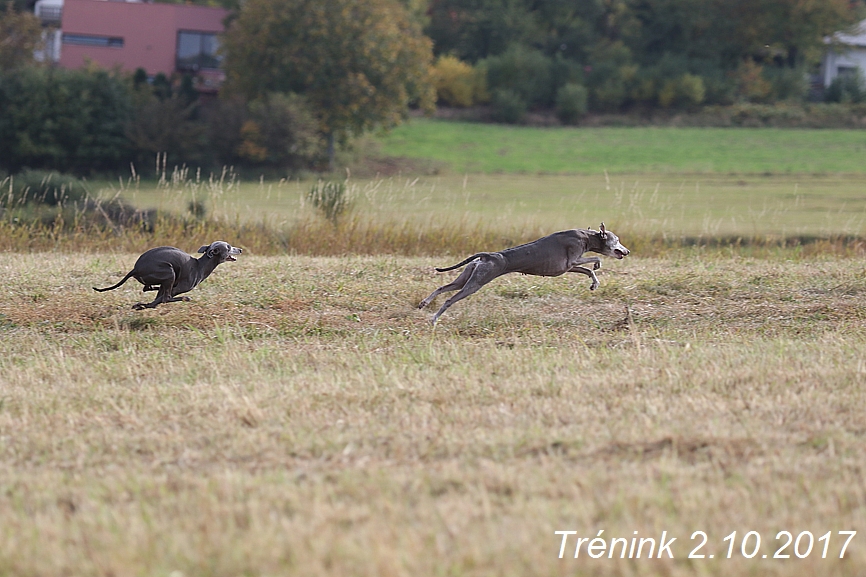 Soukroný trénink 2.10.2017 (40)