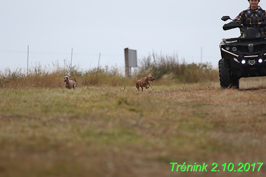 Soukroný trénink 2.10.2017 (50)