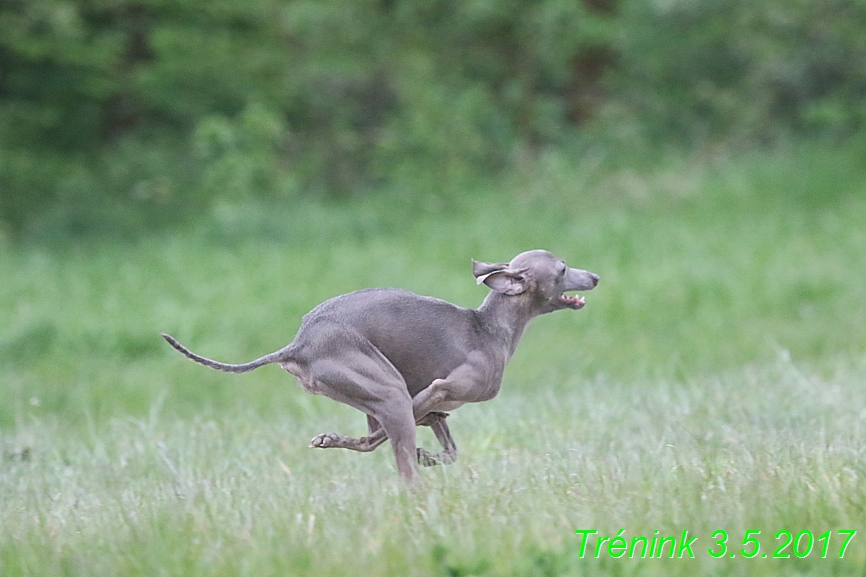 Nas trenink 3.5 . 2017 (138)