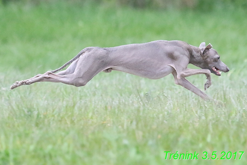 Nas trenink 3.5 . 2017 (148)