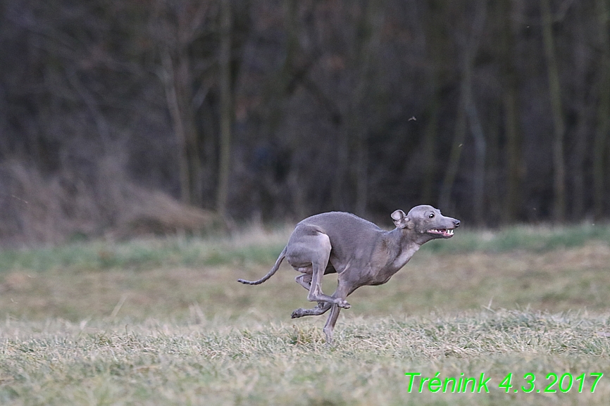 trenink 4.3.2017 (140)