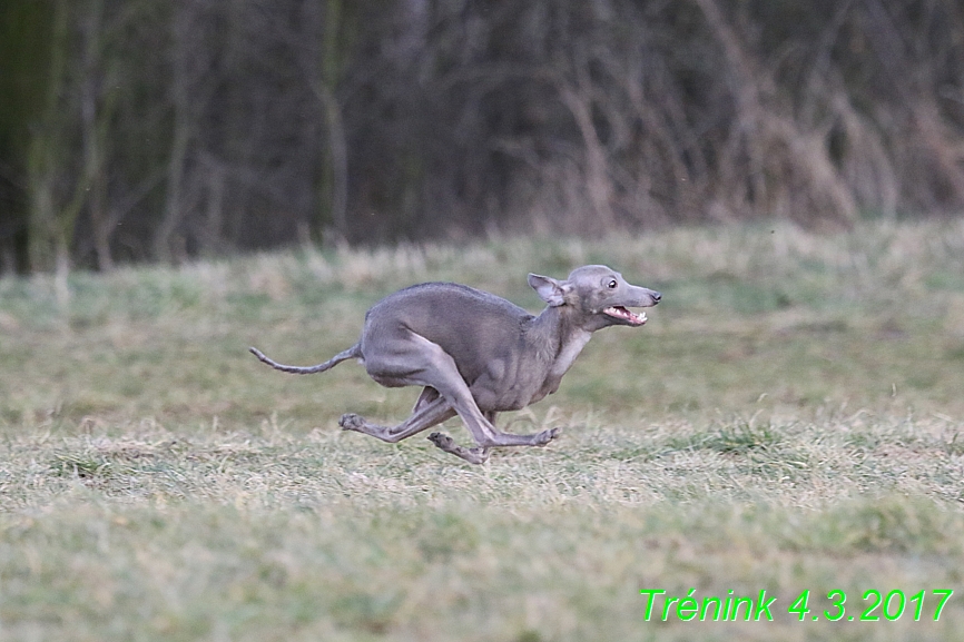 trenink 4.3.2017 (142)