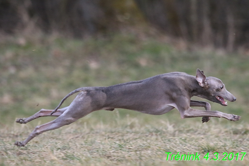 trenink 4.3.2017 (148)