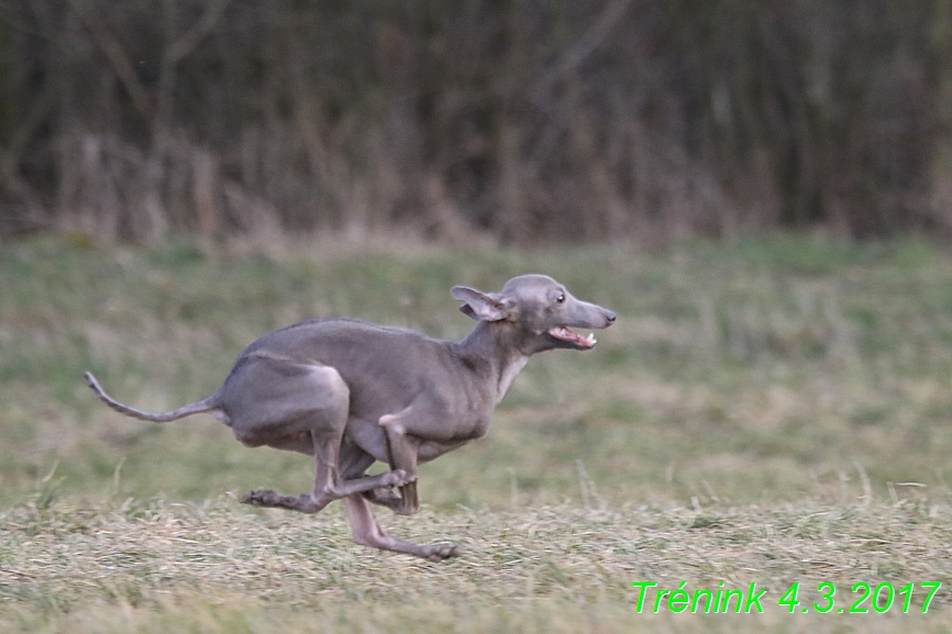 trenink 4.3.2017 (149)
