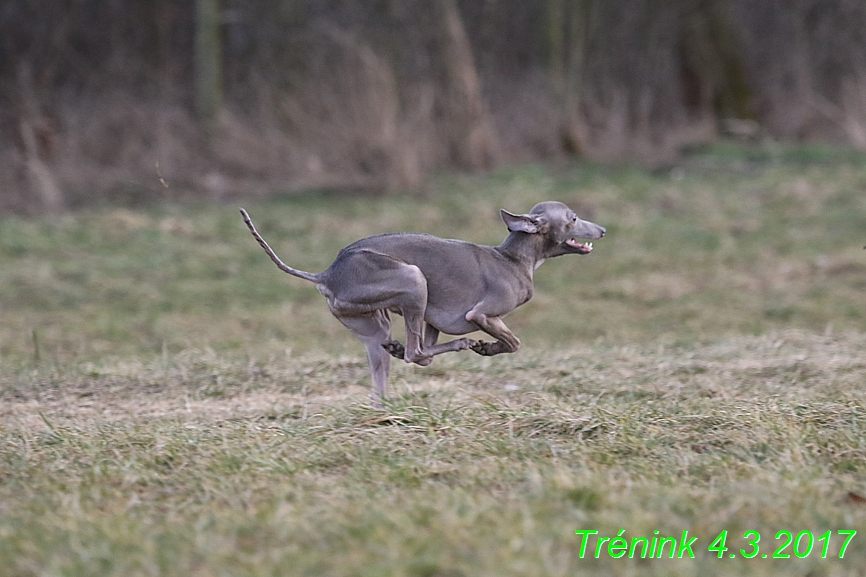 trenink 4.3.2017 (151)