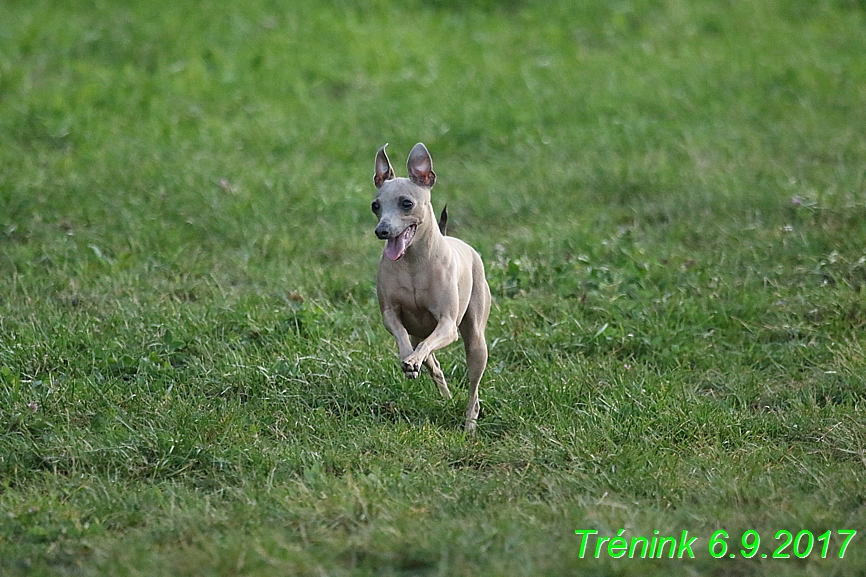 Trénink 6.9.2017 (62)