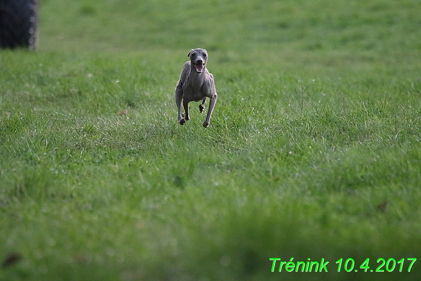 Trénink 10.4.2017 (21)