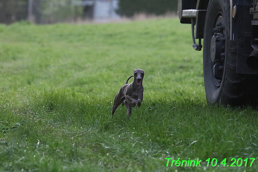 Trénink 10.4.2017 (22)