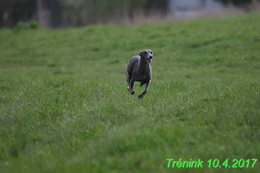 Trénink 10.4.2017 (26)