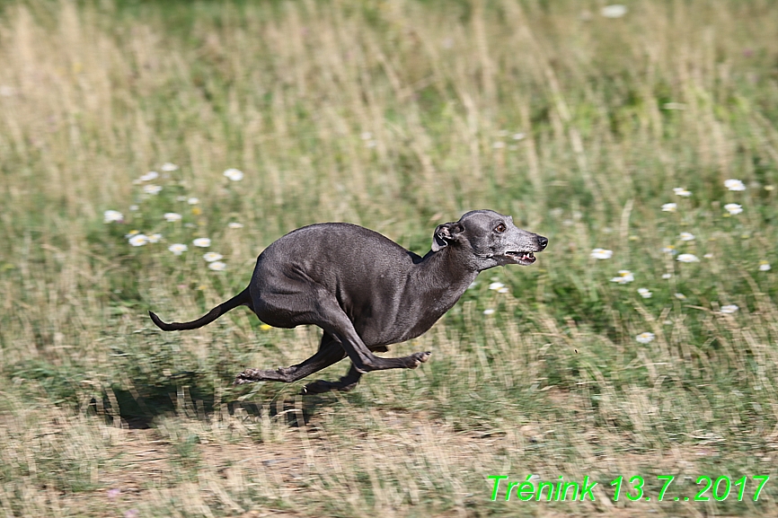 Náš trénink 13.7.2017 (66)