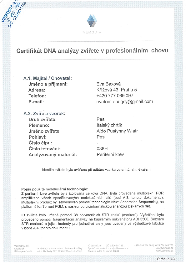 Aldo Pustynny Wiatr DNA certifikat CZ
