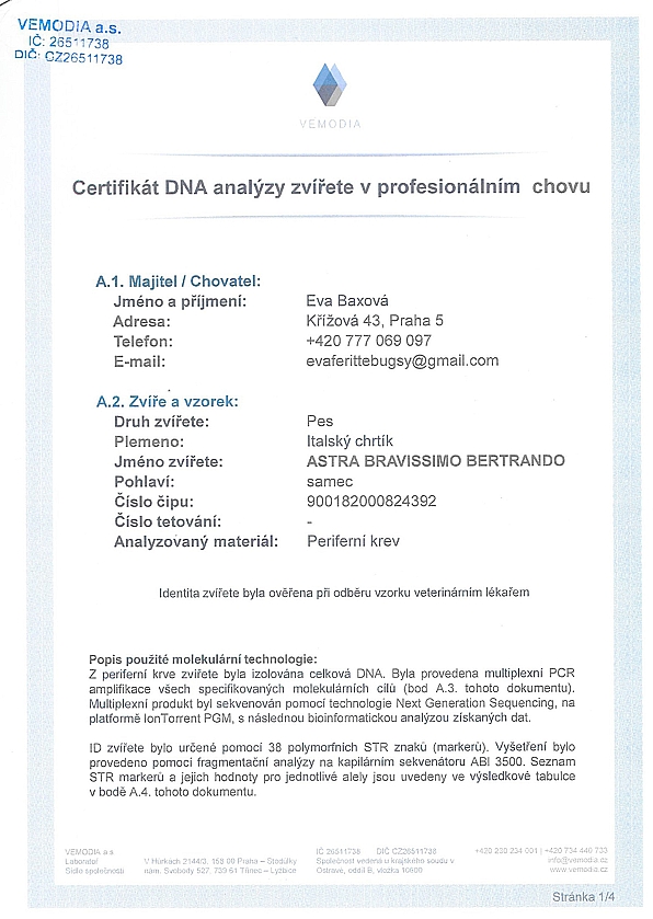 Astra Bravissimo Bertrando DNA certifikat CZ