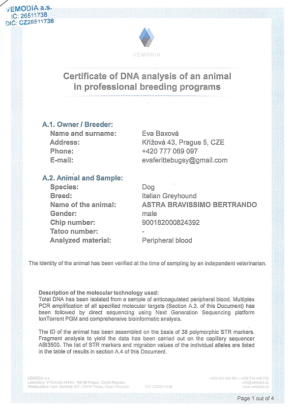 Astra Bravissimo Bertrando DNA certifikat EN