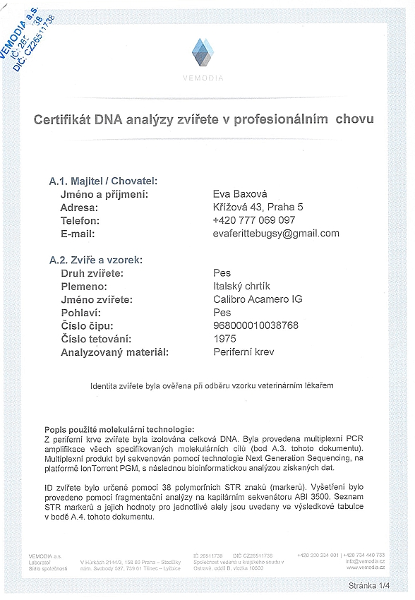 Calibro Acameo IG DNA certifikat CZ