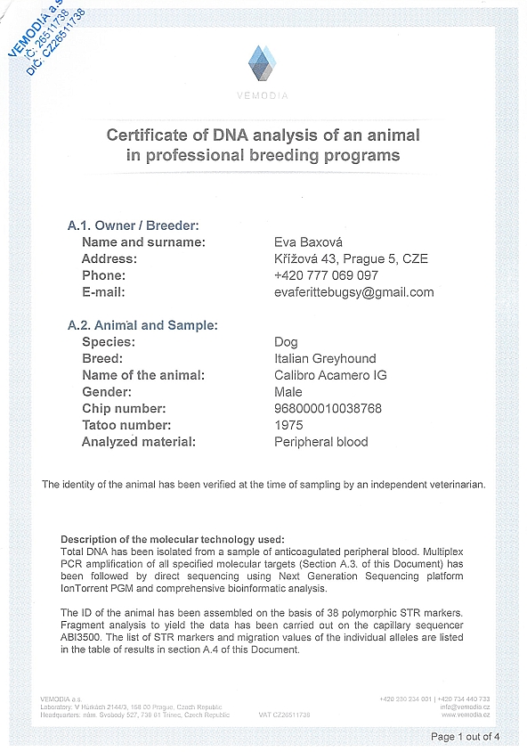 Calibro Acameo IG DNA certifikat EN