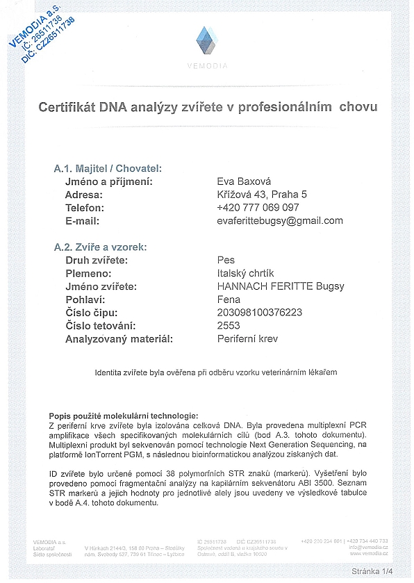 Hannach Feritte Bugsy DNA certifikat CZ